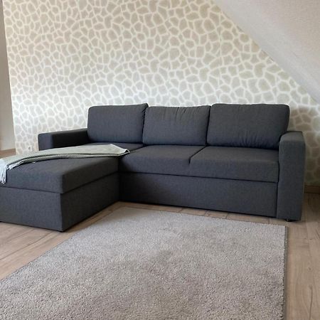 Schoene Ruhige Wohnung In Anliegerstrasse 埃森 外观 照片